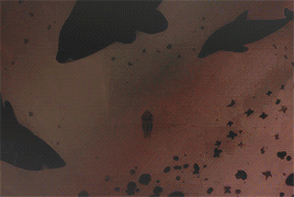 FREE!美图欣赏，一个比一个帅，真琴美如画，For the team！(￣ε￣*)