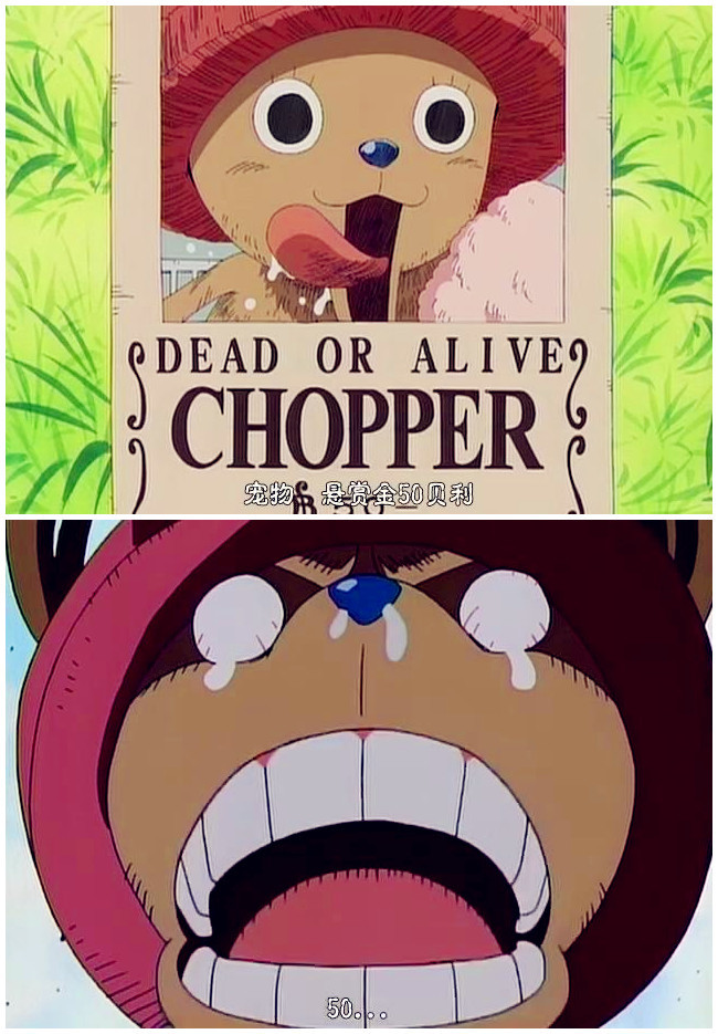 虽然萌主乔巴才50贝利，但是跟山治比还是感觉蛮欣慰的，[痛哭]全世界的女士们都要取笑我了[吃惊]