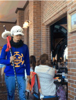 世界三个环球影城主题公园之一的日本环球影城(USJ)最近每年夏天都会举办的OP Summer现场[嘻嘻]，但是总感觉三次元化后哪里怪怪的[思考]