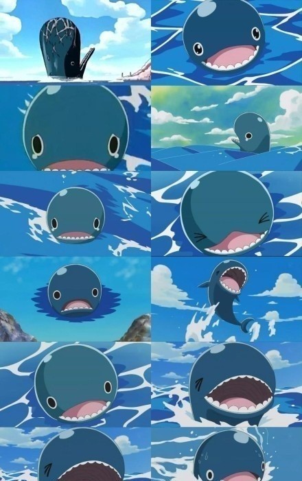 守候几十年，只为了一个承诺，看着他头顶的伤疤，顿时觉得信守承诺是多么重要，希望草帽一伙找到one piece后能第一时间去看它！！不知道拉布那时看到布鲁克又会是怎样的情景！[痛哭]