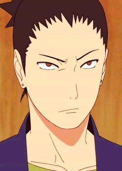 渴望平凡，可一直不曾平凡过……