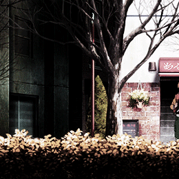 茕茕白兔，东走西顾。衣不如新，人不如故。我相信英会回来的 没有了阳光怎么活下去｡◕‿◕｡