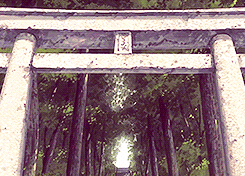 夏目贵志 愿你的温柔能够融化世间苦难o(≧v≦)o