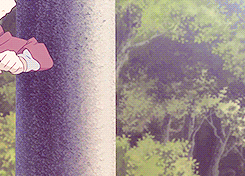 夏目贵志 愿你的温柔能够融化世间苦难o(≧v≦)o