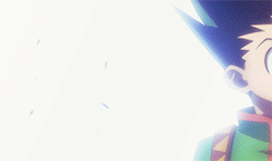 全职猎人("▔□▔)/