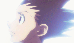 全职猎人("▔□▔)/