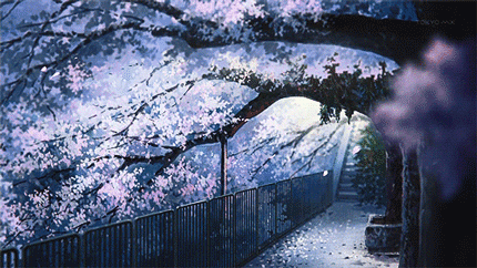 生如夏花之绚烂，死如秋叶之静美 请把这句刻在我的墓碑上[嘻嘻]
花谢花飞花满天 红消香断有谁怜  好美的场景[花心]