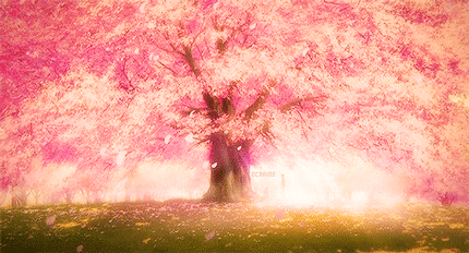 生如夏花之绚烂，死如秋叶之静美 请把这句刻在我的墓碑上[嘻嘻]
花谢花飞花满天 红消香断有谁怜  好美的场景[花心]