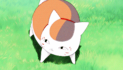 #娘口森森#太可爱！[嘻嘻]
变小很可爱，变大又超帅，哎。。
贱萌贱萌的
