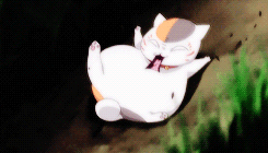 #娘口森森#太可爱！[嘻嘻]
变小很可爱，变大又超帅，哎。。
贱萌贱萌的
