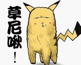皮卡丘的百变造型⊙﹏⊙‖