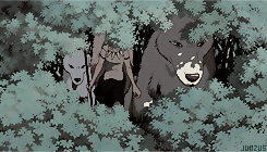 幽灵公主gif美图分享
坚守内心的那份纯真[哈哈]
话说飞鸟真的是好男人[男神]