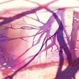 秒速五厘米
明日花，昨日已开
在一个世界却不在同一个地方，我只能透过其他才能看见你的影子[痛哭]