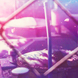 秒速五厘米
明日花，昨日已开
在一个世界却不在同一个地方，我只能透过其他才能看见你的影子[痛哭]