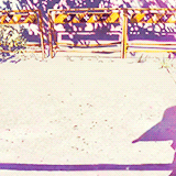 秒速五厘米
明日花，昨日已开
在一个世界却不在同一个地方，我只能透过其他才能看见你的影子[痛哭]