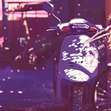 秒速五厘米
明日花，昨日已开
在一个世界却不在同一个地方，我只能透过其他才能看见你的影子[痛哭]