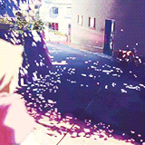 秒速五厘米
明日花，昨日已开
在一个世界却不在同一个地方，我只能透过其他才能看见你的影子[痛哭]