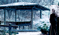 隐约雷鸣 阴霾天空 即便天无雨 我亦留此地
言叶之庭 花开后花又落，轮回也没结果，苔上雪告诉我，你没归来过。
美图欣赏o(≧v≦)o