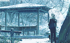 隐约雷鸣 阴霾天空 即便天无雨 我亦留此地
言叶之庭 花开后花又落，轮回也没结果，苔上雪告诉我，你没归来过。
美图欣赏o(≧v≦)o