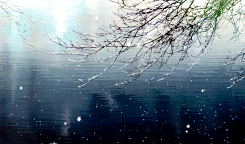 隐约雷鸣 阴霾天空 即便天无雨 我亦留此地
言叶之庭 花开后花又落，轮回也没结果，苔上雪告诉我，你没归来过。
美图欣赏o(≧v≦)o