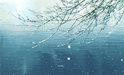 隐约雷鸣 阴霾天空 即便天无雨 我亦留此地
言叶之庭 花开后花又落，轮回也没结果，苔上雪告诉我，你没归来过。
美图欣赏o(≧v≦)o