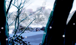 隐约雷鸣 阴霾天空 即便天无雨 我亦留此地
言叶之庭 花开后花又落，轮回也没结果，苔上雪告诉我，你没归来过。
美图欣赏o(≧v≦)o