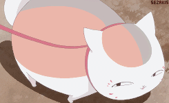 果然像遛猪一样
温柔的他，原守他百岁无忧
娘口三三[哈哈]