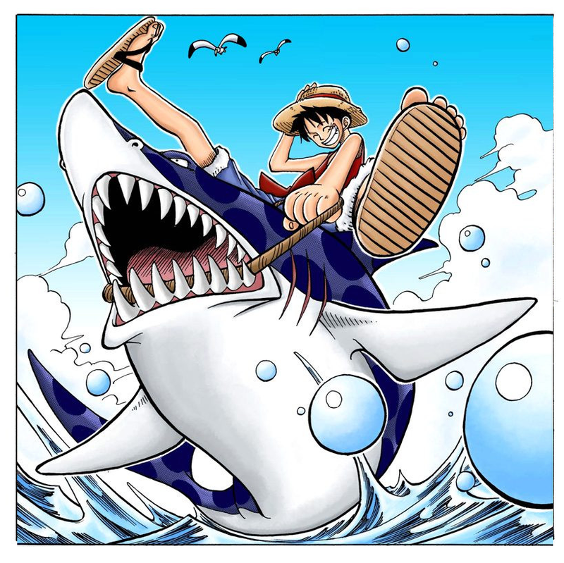 #海贼王#  漫画扉页——草帽一伙