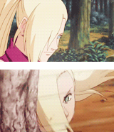 完美的组合「猪鹿蝶」[玫瑰]