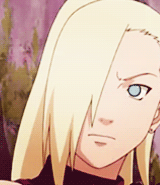 完美的组合「猪鹿蝶」[玫瑰]