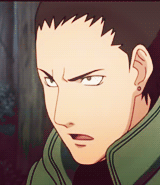 完美的组合「猪鹿蝶」[玫瑰]