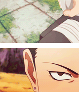 完美的组合「猪鹿蝶」[玫瑰]