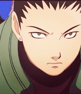 完美的组合「猪鹿蝶」[玫瑰]