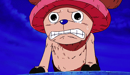 装得了逼、耍得了贱、卖得了萌、耍得了二，这是一只只有100贝利赏金的宠物，却给我们带来了无数的欢乐！祝乔巴1224生日快乐！！