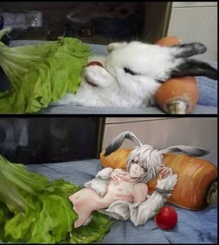 腐女腐女不可怕，就怕腐女会画画。(画师：暮柔)