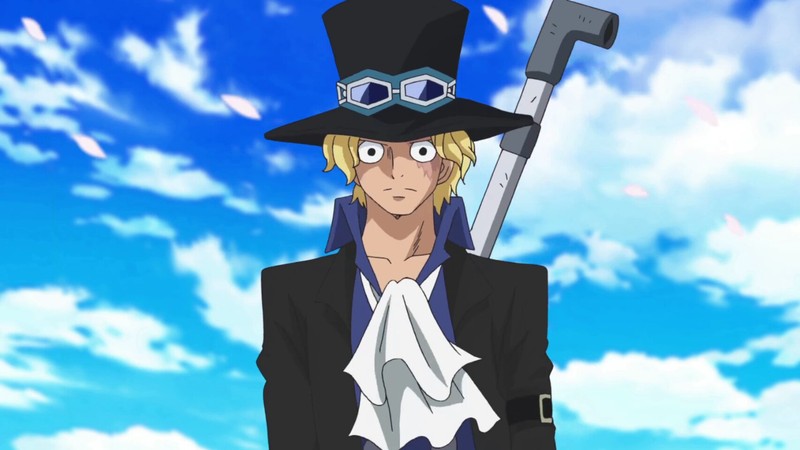 #语录#至少现在我还可以看见，至少我现在还可以握紧我的双拳，彼岸花开的地方你是否也在期待着那个弟弟的梦想？此岸我为你执掌流年，片片凌舞的花瓣摇曳细碎的时光，总有一天会看见，总有一天会明白......