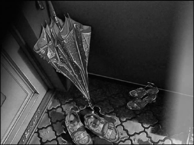 新海诚黑白动画#她和她的猫# 2016年新动画化决定。已公开CV：彼女：花澤香菜、黒猫：浅沼晋太郎、友人：矢作紗友里。3月4日深夜开播。