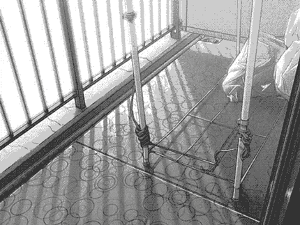 新海诚黑白动画#她和她的猫# 2016年新动画化决定。已公开CV：彼女：花澤香菜、黒猫：浅沼晋太郎、友人：矢作紗友里。3月4日深夜开播。