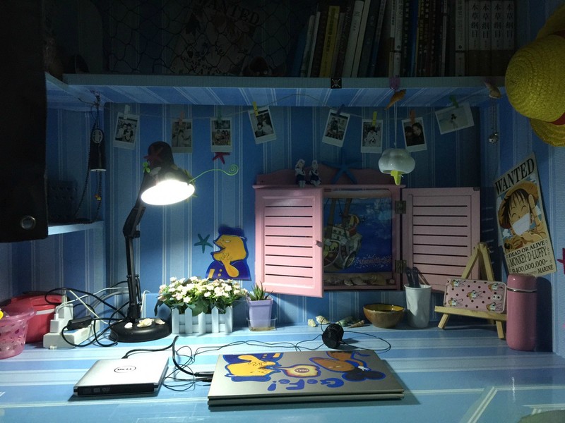 【海迷秀】能把寝室装扮成这样的一定是真海米！[嘻嘻]