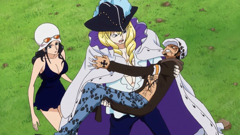 海贼王公主抱也是极好的！[笑cry]