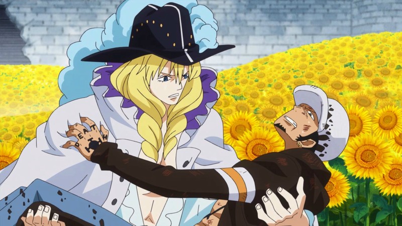 海贼王公主抱也是极好的！[笑cry]