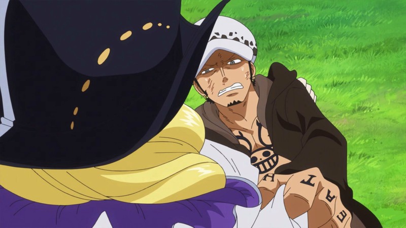 海贼王公主抱也是极好的！[笑cry]