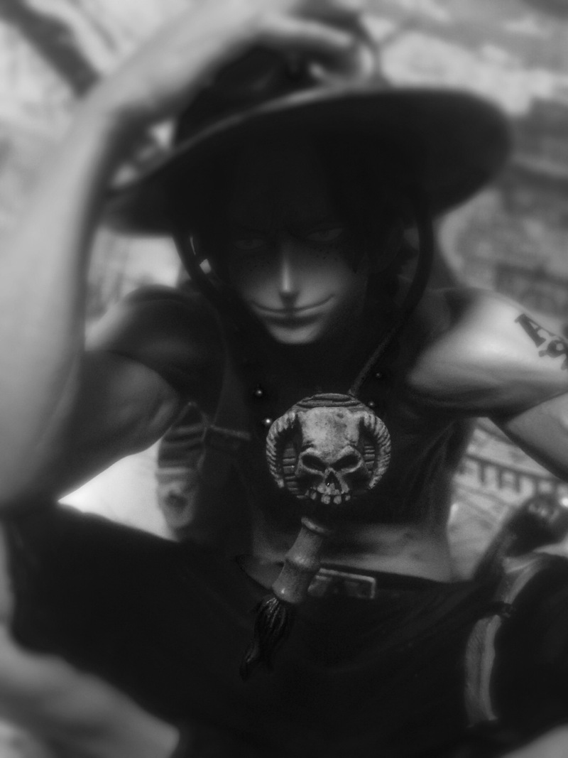 #海贼王# 眼镜厂 艺术王者艾斯，随拍六张。