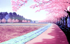 赏樱花的最佳时刻，就是在樱花凋谢的那一瞬间。