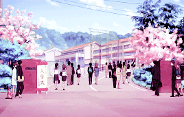 赏樱花的最佳时刻，就是在樱花凋谢的那一瞬间。