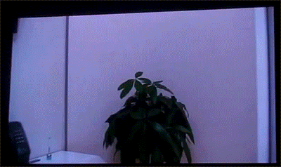 #海贼王#这什么节目有人知道吗？感觉挺好玩的。（图自汤主Porche-chan）