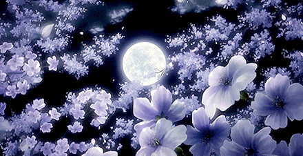 也许我是一道微光
却想要给你灿烂的光芒
宁愿让我受伤
在黑暗的夜晚
静静地为你
去孤独的照亮