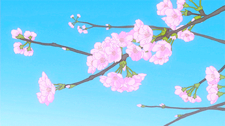 #二次元的花开花落# 
人情冷暖正如花开花谢，
不如将这种现象，
想成一种必然的季节。