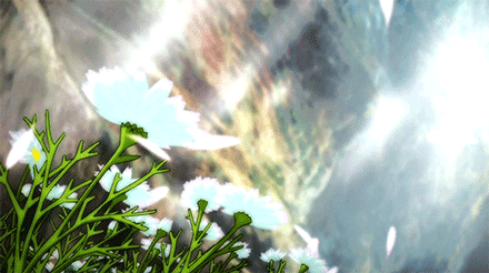 #二次元的花开花落# 
人情冷暖正如花开花谢，
不如将这种现象，
想成一种必然的季节。