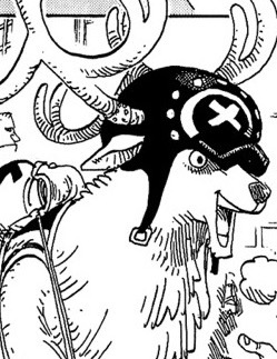 想笑来伪装掉下的眼泪。🐶